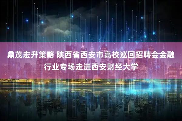 鼎茂宏升策略 陕西省西安市高校巡回招聘会金融行业专场走进西安财经大学