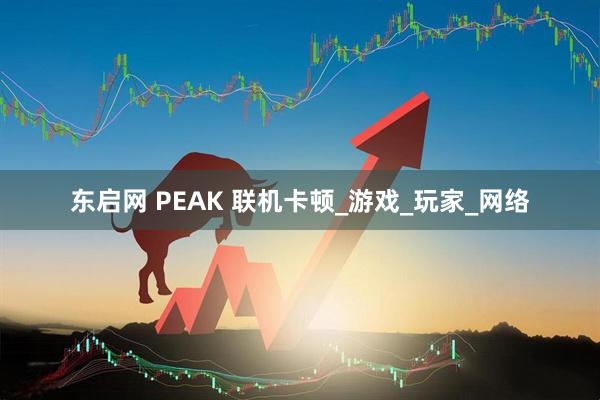 东启网 PEAK 联机卡顿_游戏_玩家_网络
