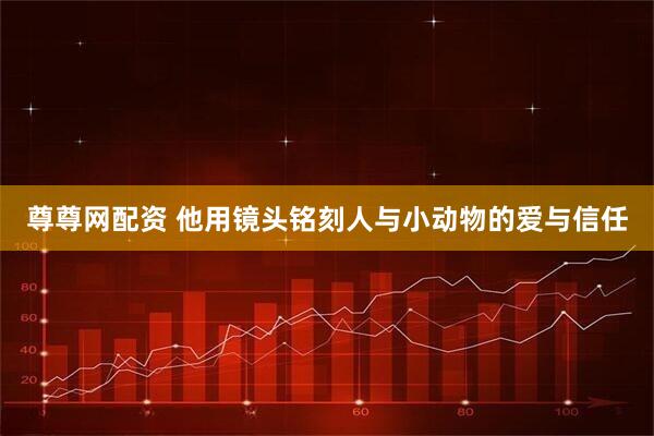 尊尊网配资 他用镜头铭刻人与小动物的爱与信任